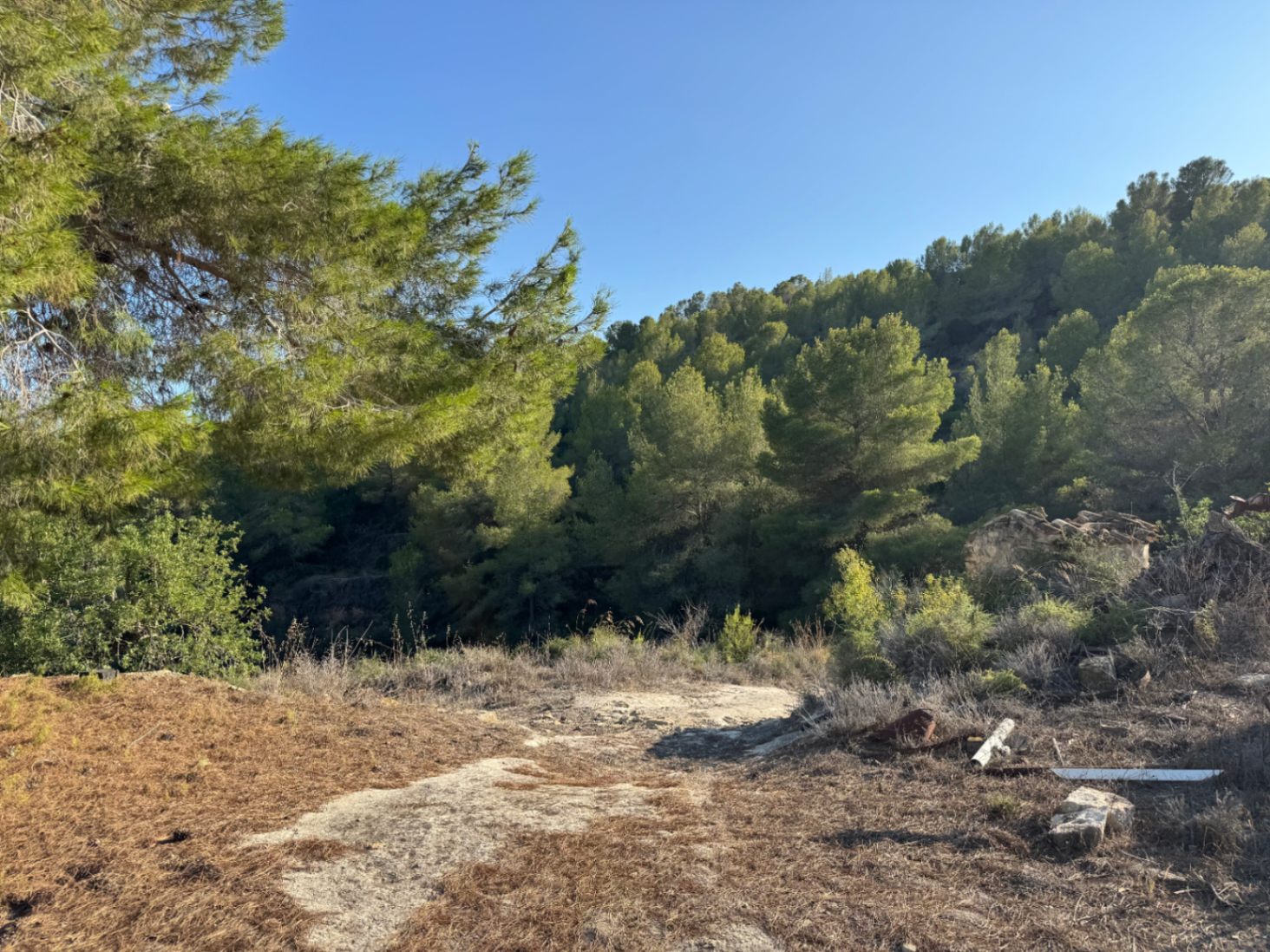 Casa de Campo en Venta en Benissa : Para Reforma Integral con Amplia Parcela y Vistas Verdes