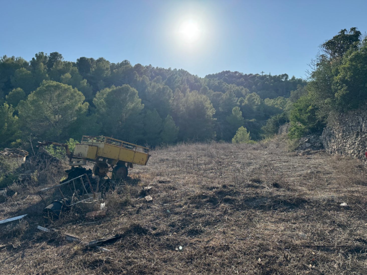Casa de Campo en Venta en Benissa : Para Reforma Integral con Amplia Parcela y Vistas Verdes