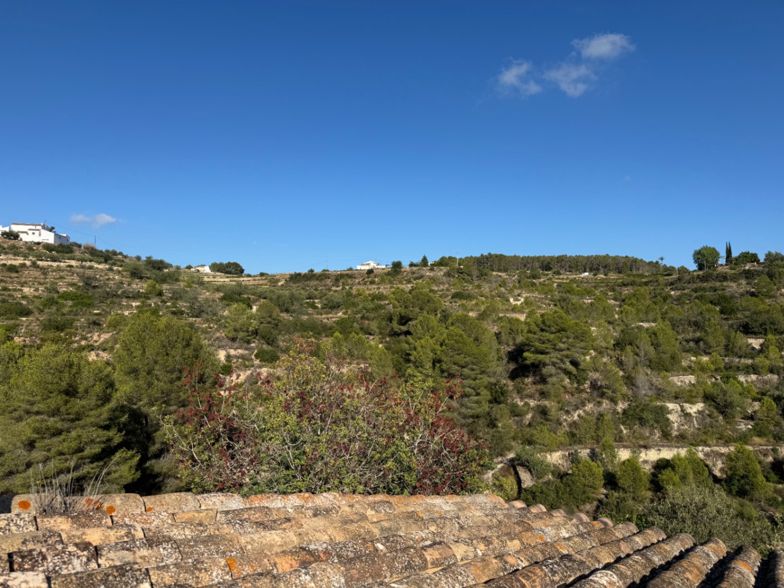 Casa de Campo en Venta en Benissa : Para Reforma Integral con Amplia Parcela y Vistas Verdes