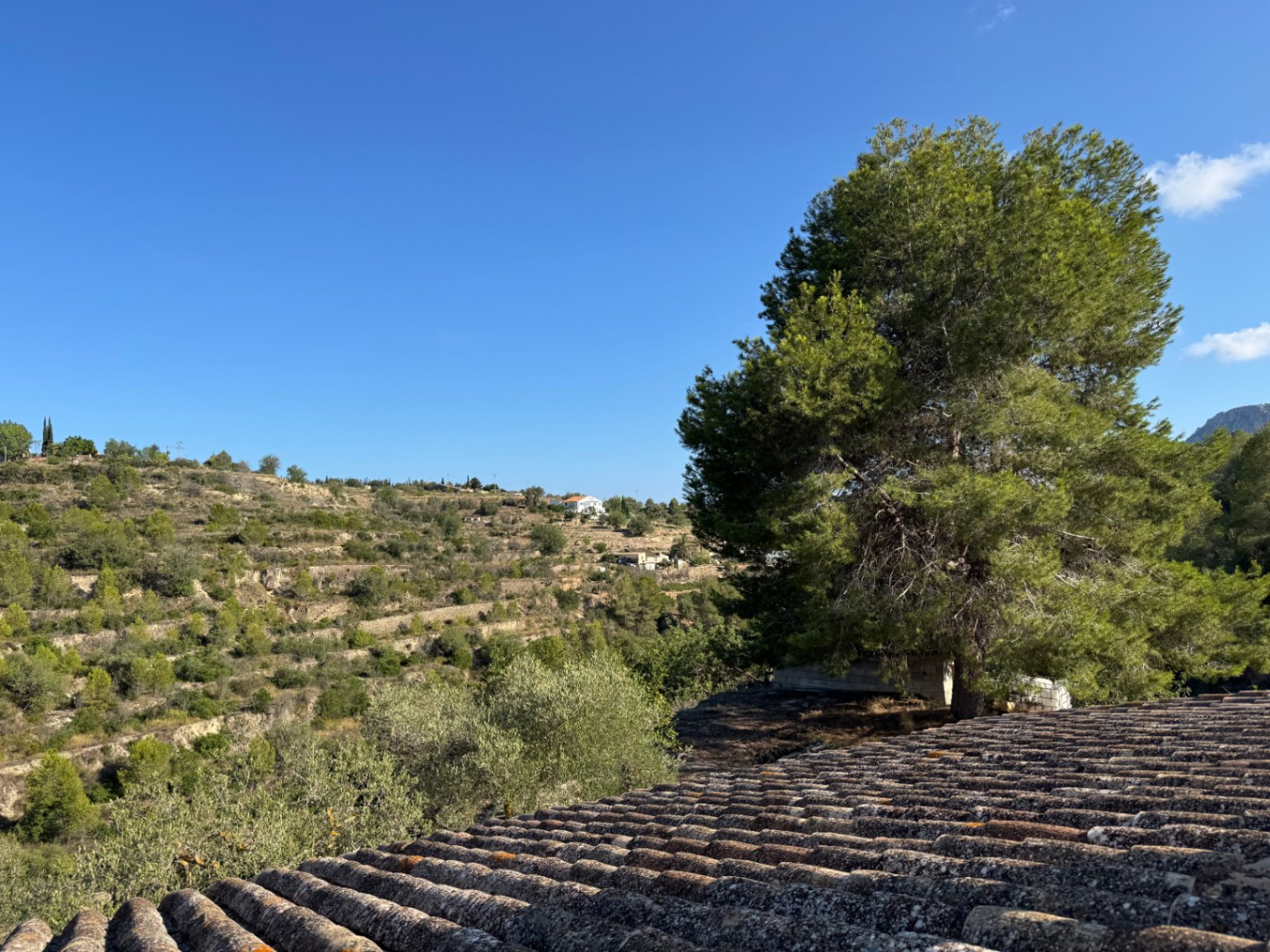 Casa de Campo en Venta en Benissa : Para Reforma Integral con Amplia Parcela y Vistas Verdes