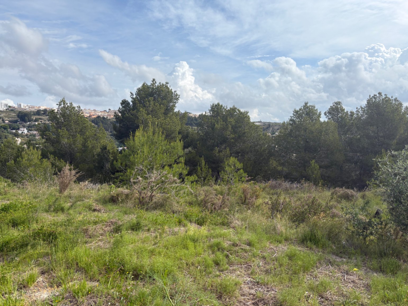 Parzelle zu verkaufen in Benissa mit Meerblick