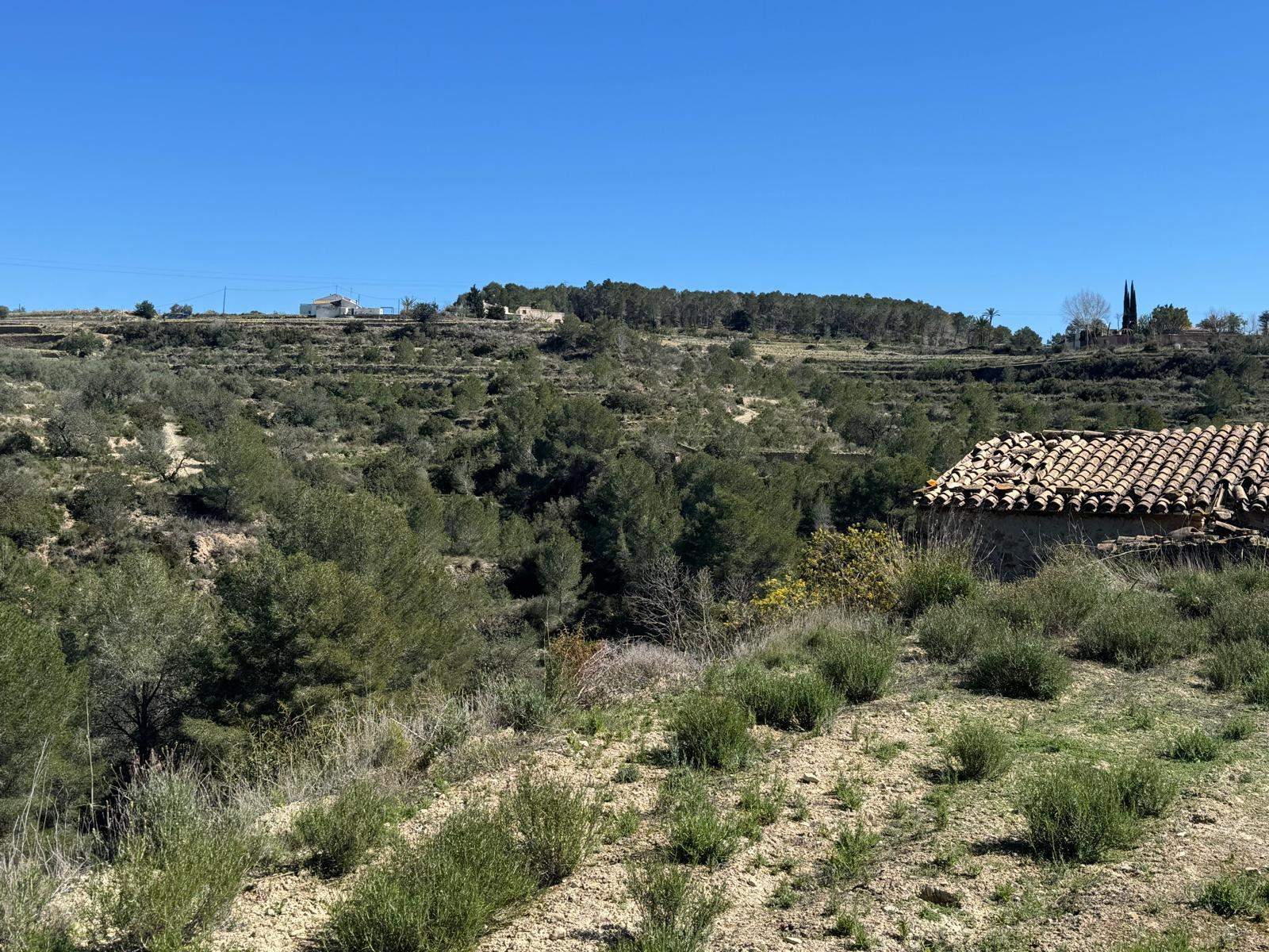 Casa de Campo en Venta en Benissa : Para Reforma Integral con Amplia Parcela y Vistas Verdes