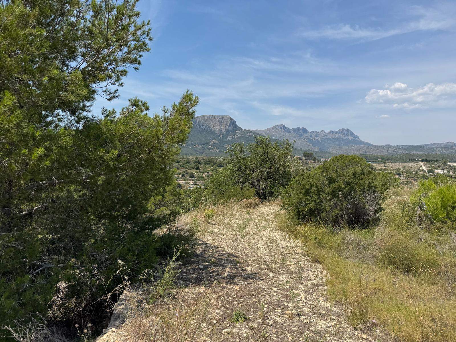 Perceel te koop in Benissa, Alicante, van 36.064 m².