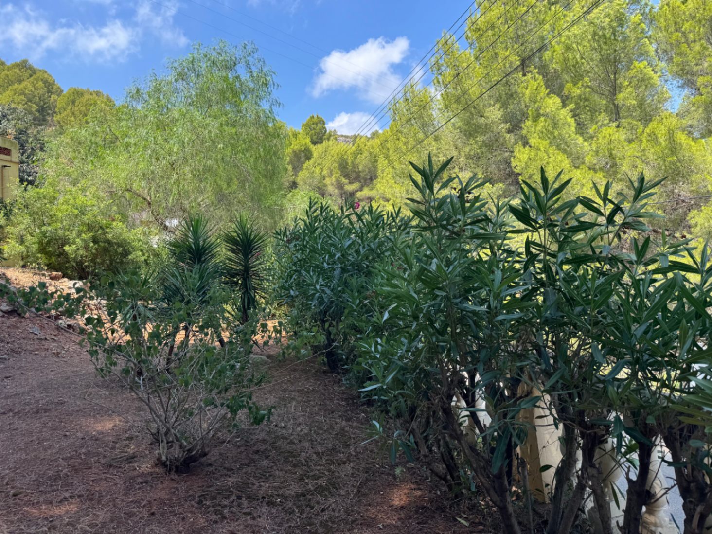 Casa de campo en venta en Pedreguer