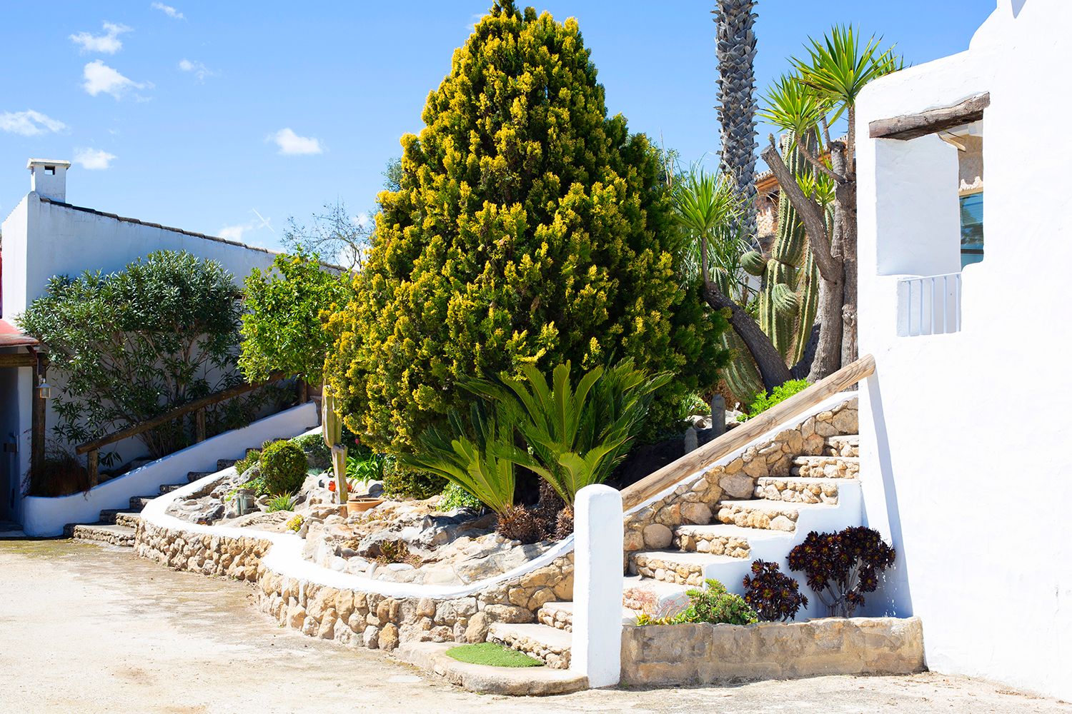 Finca rurale unique avec projet touristique consolidé à Benissa