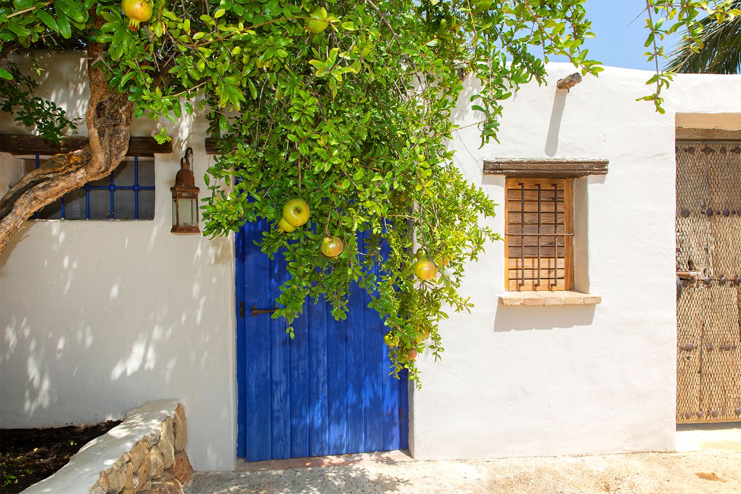 Finca rurale unique avec projet touristique consolidé à Benissa