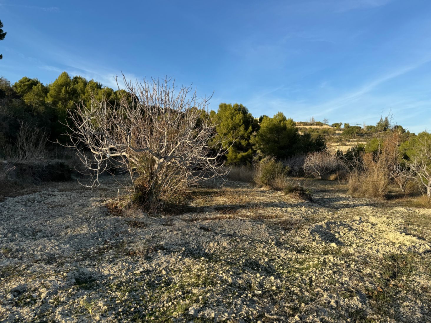 Parcel·la a la venda a Benissa