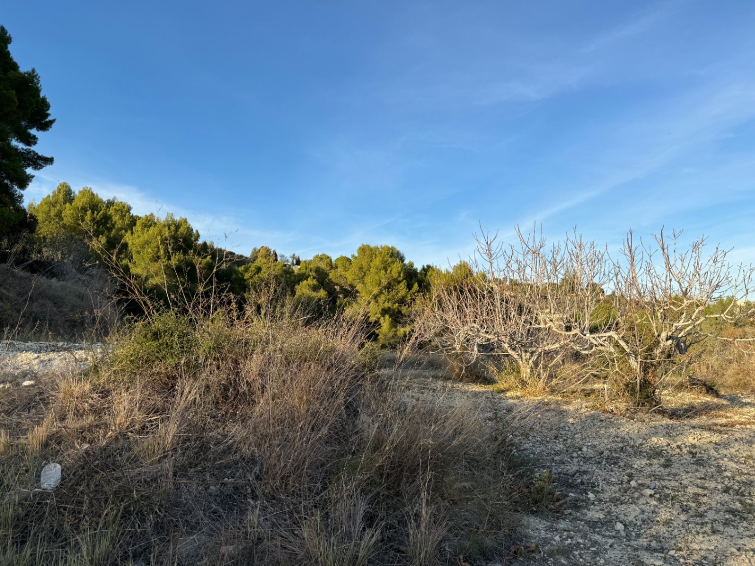 Parcel·la a la venda a Benissa
