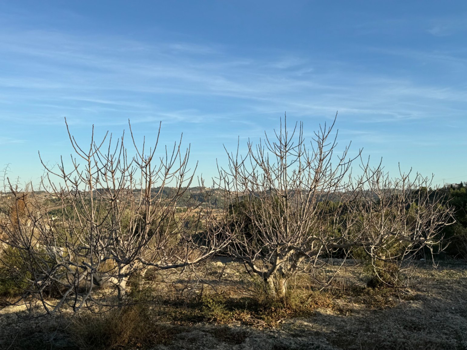 Parcel·la a la venda a Benissa