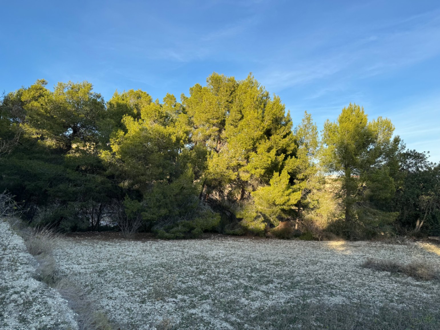 Parcel·la a la venda a Benissa