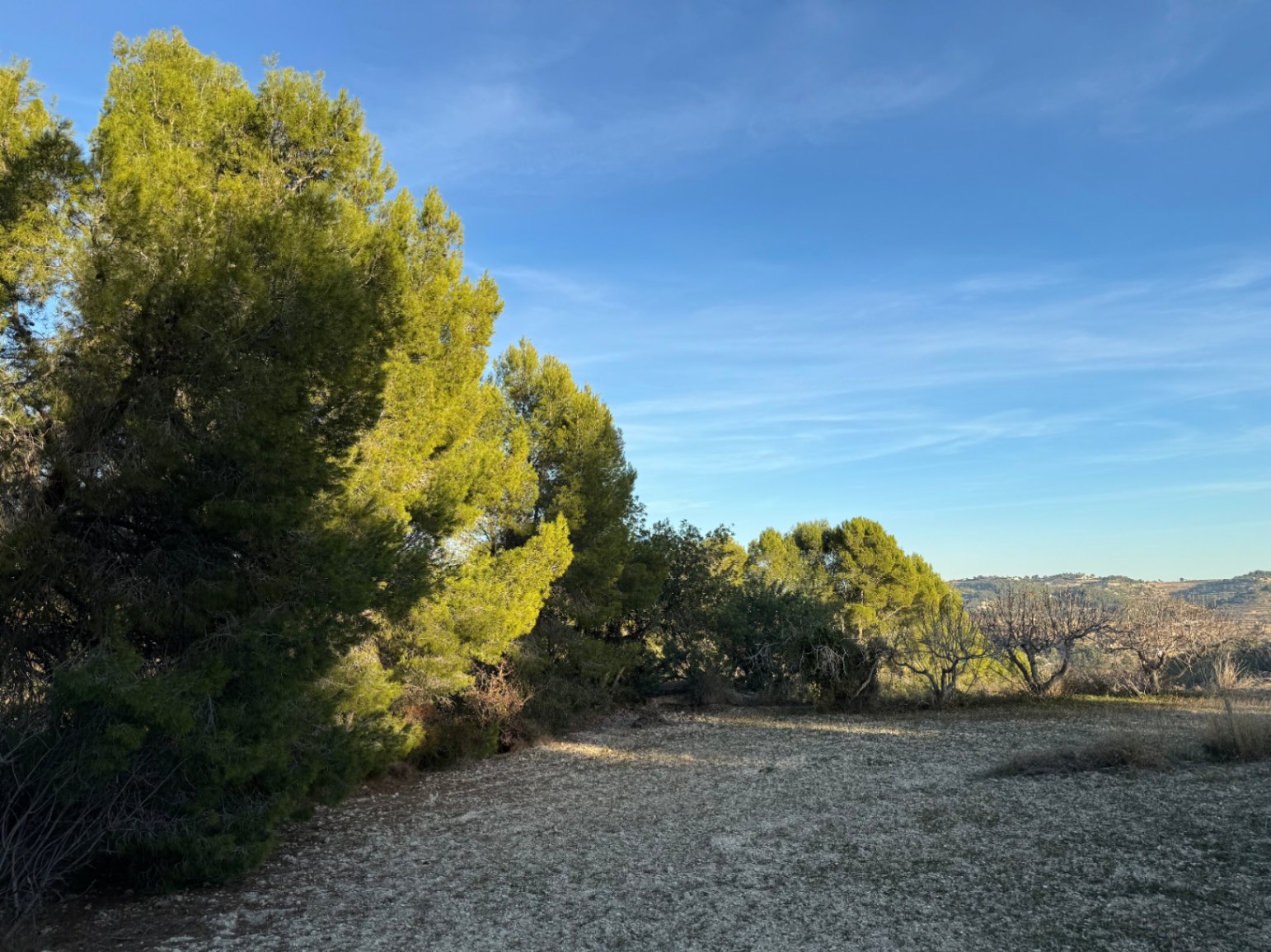 Parcel·la a la venda a Benissa