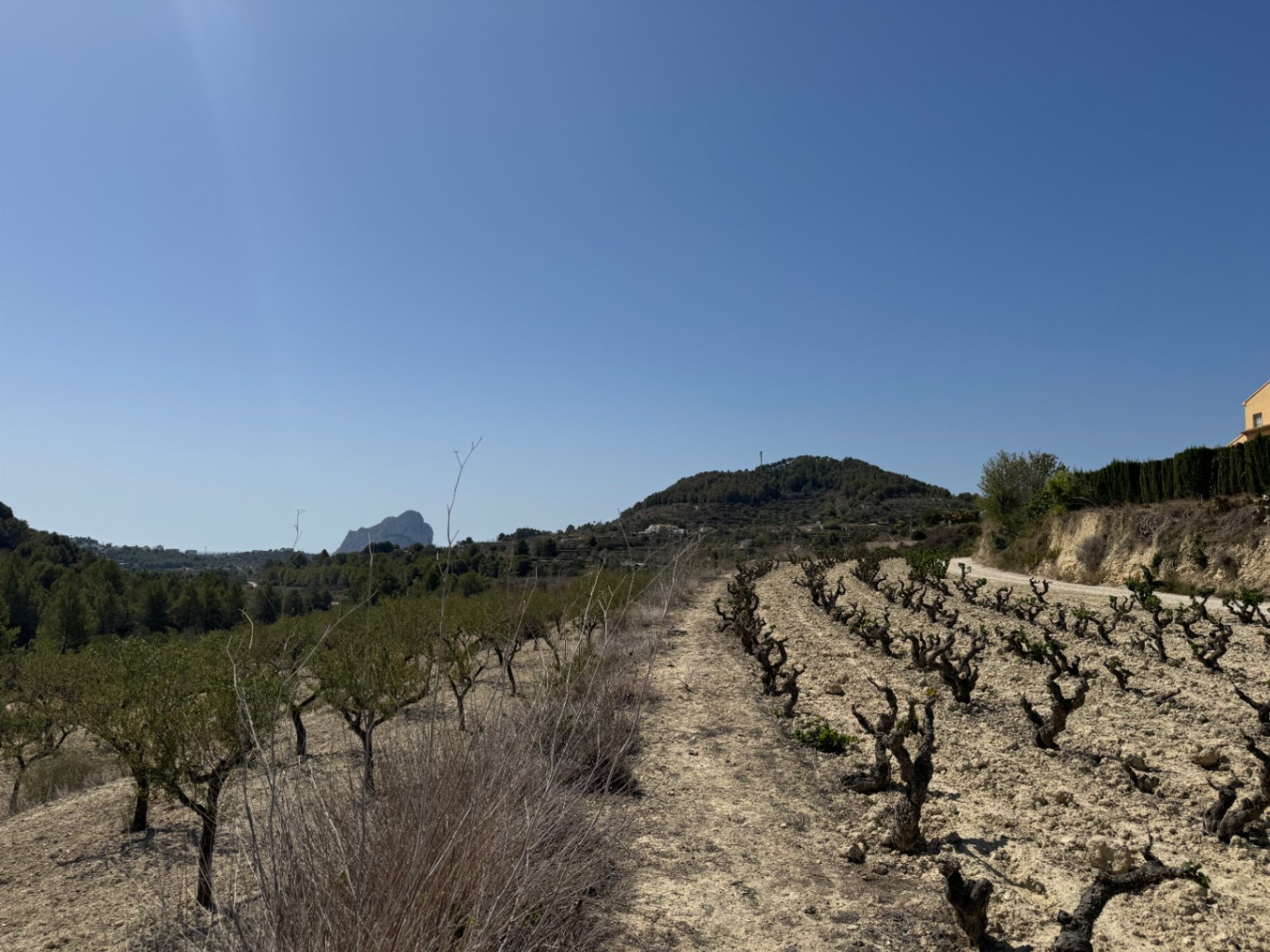 Terrain rustique à Benissa