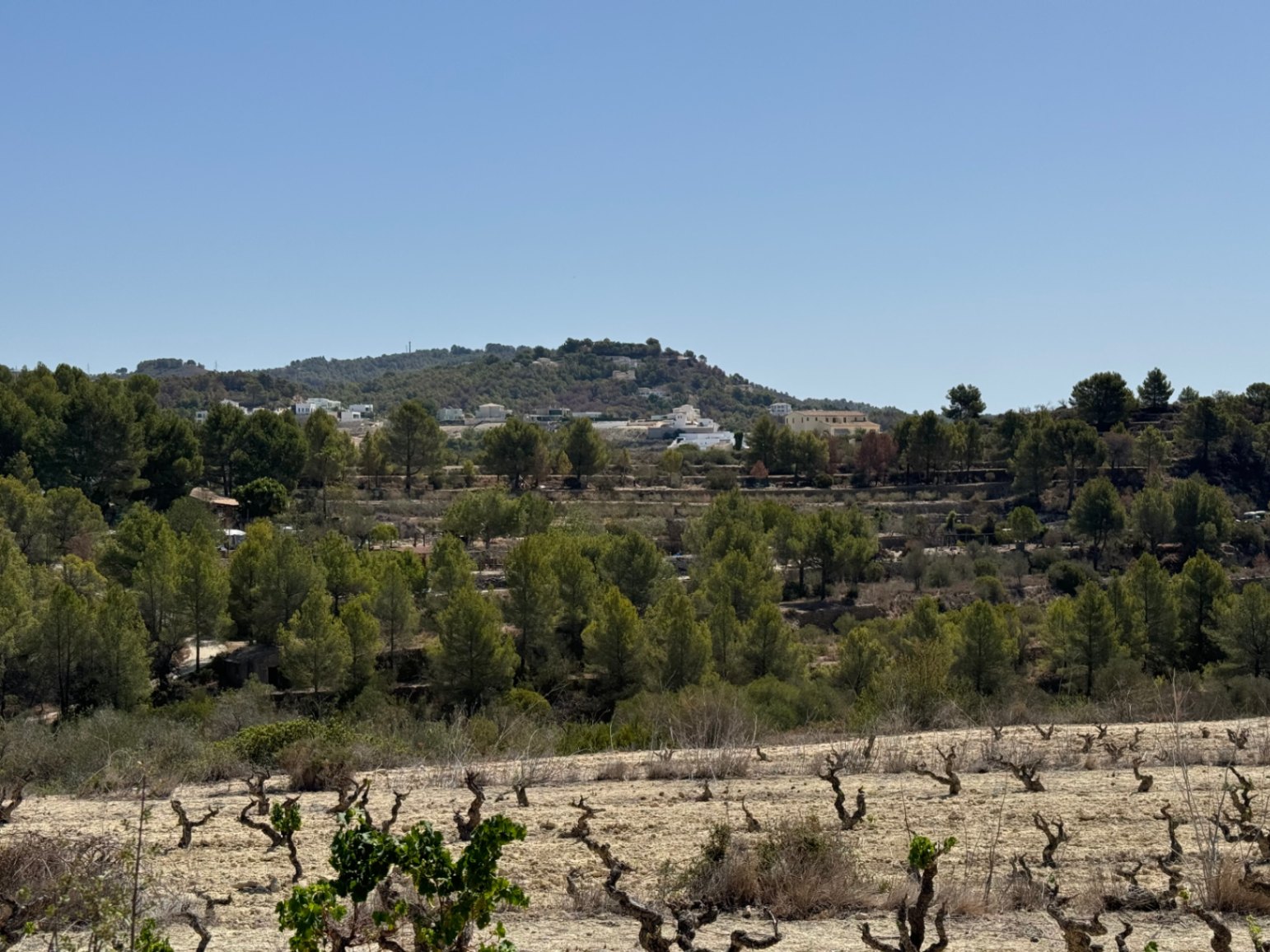 Terrain rustique à Benissa