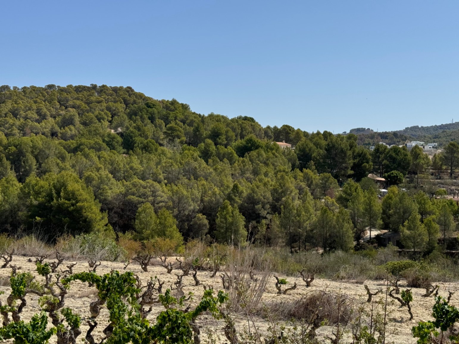 Terrain rustique à Benissa