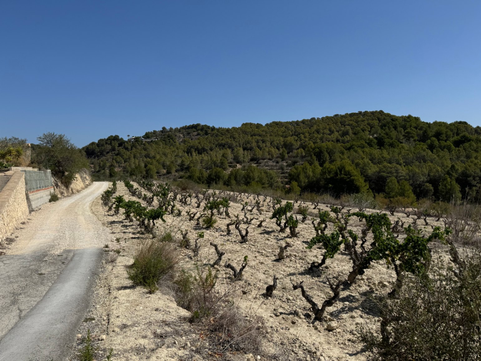 Terrain rustique à Benissa