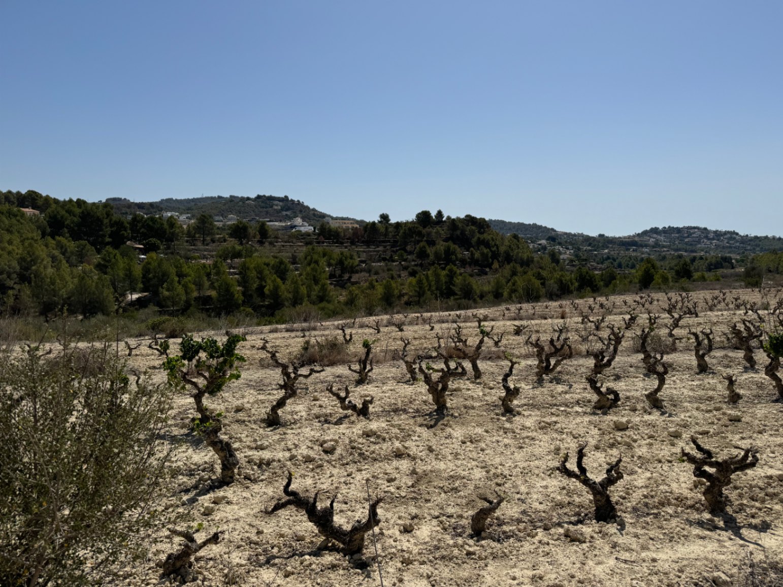 Terrain rustique à Benissa