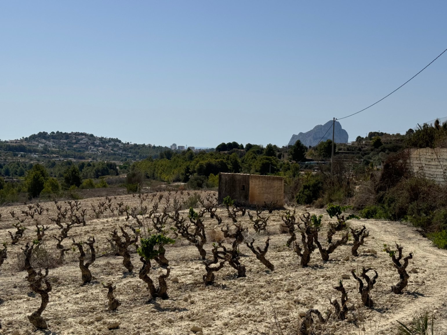 Terrain rustique à Benissa