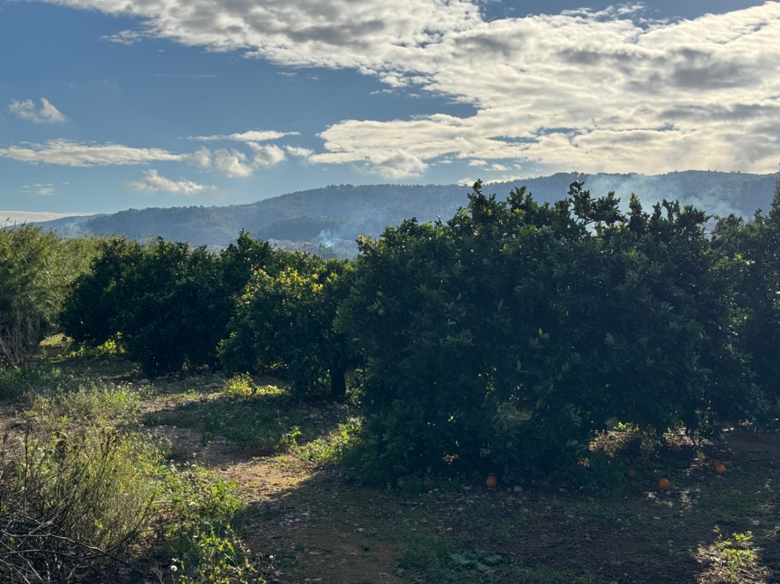 Parcel·la amb cobert