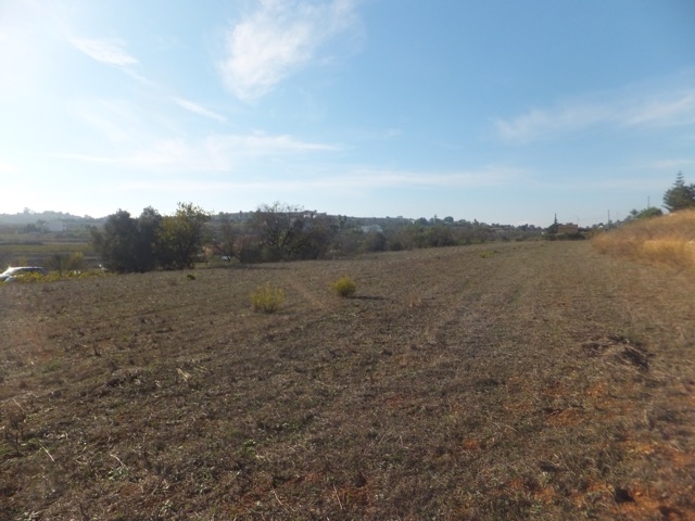 Parcela sur Vente sur Teulada, Teulada, Alicante
