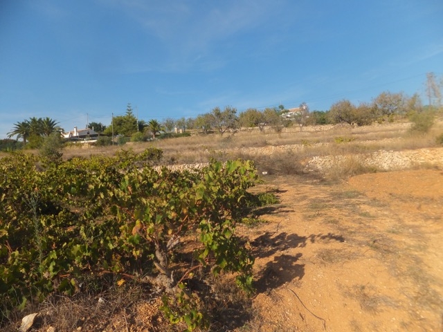 Parcela sur Vente sur Teulada, Teulada, Alicante