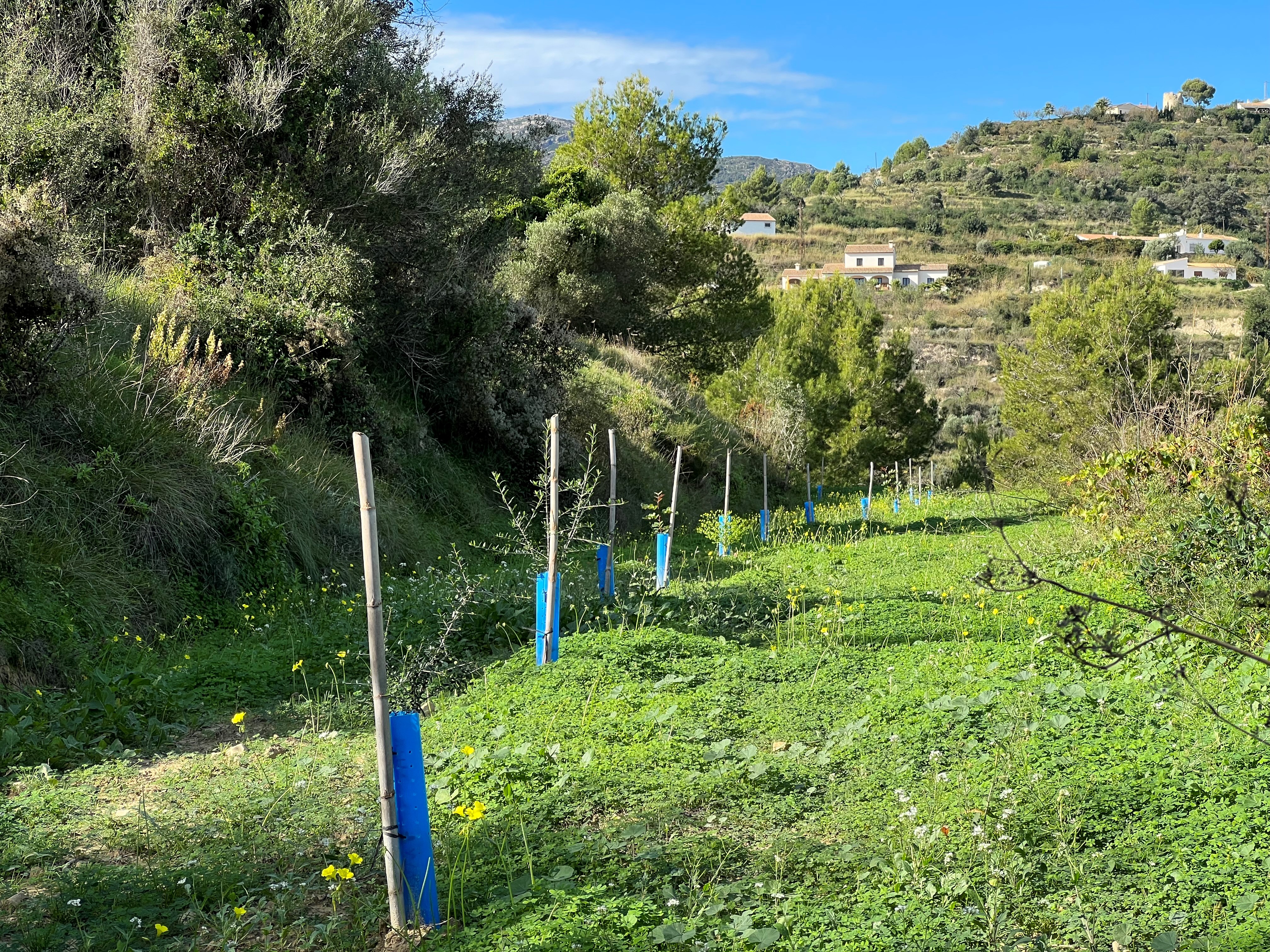 Rustiek perceel in Benissa